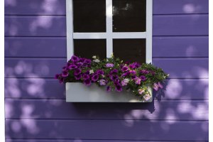 Little Rascals Extra Window Panel